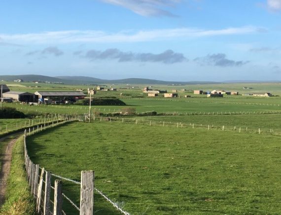 Farmland around Newbigging