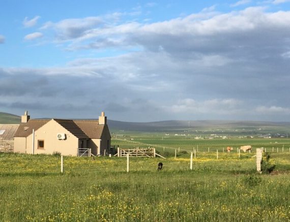 Orkney farmland
